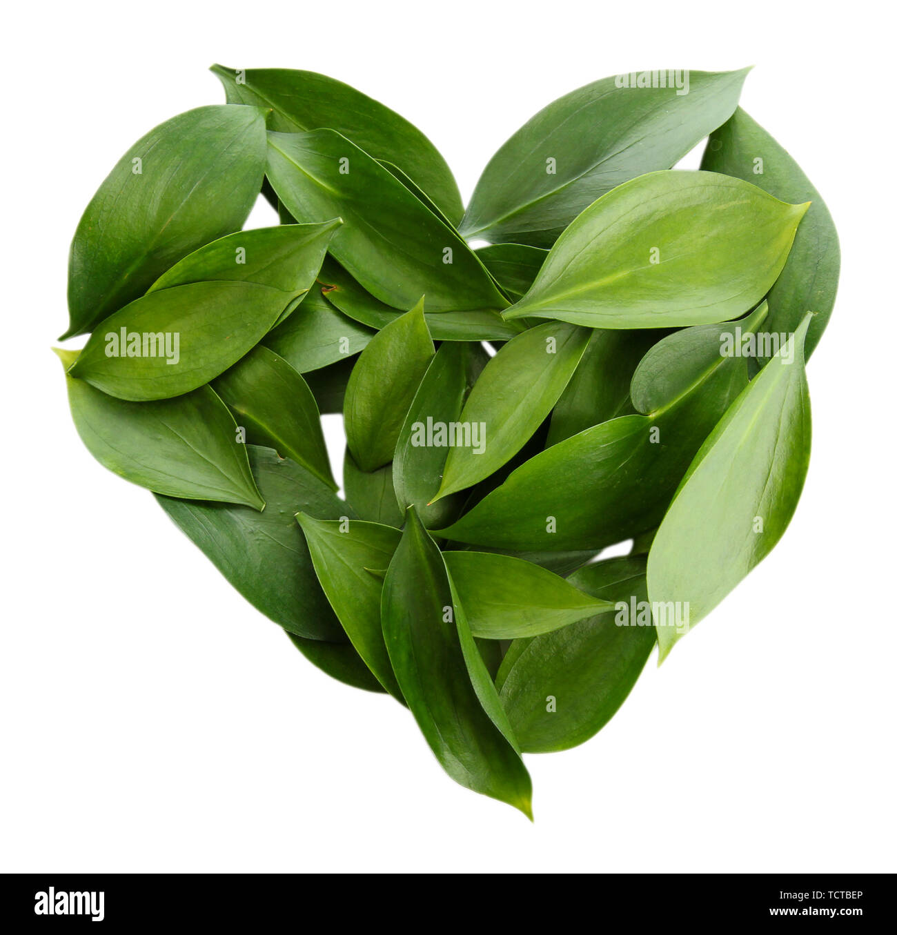 heart of beautiful green leaves, isolated on white Stock Photo - Alamy