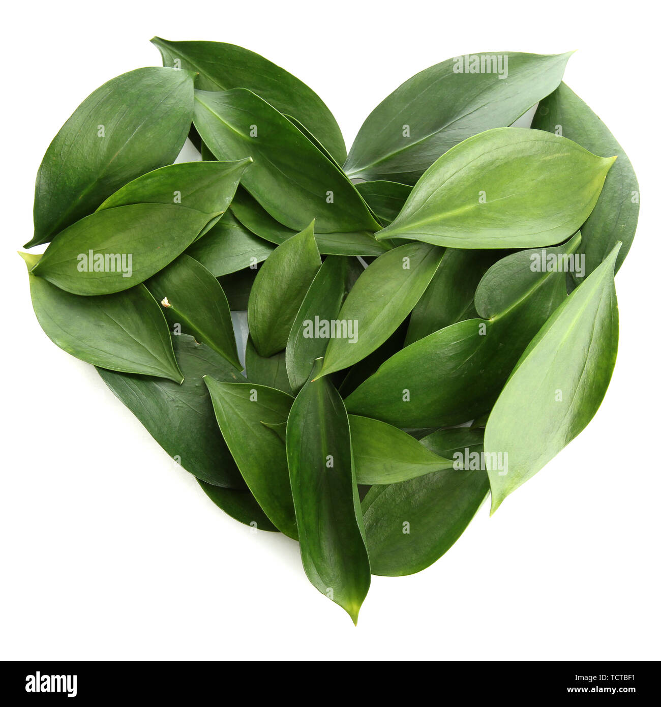 heart of beautiful green leaves, isolated on white Stock Photo - Alamy