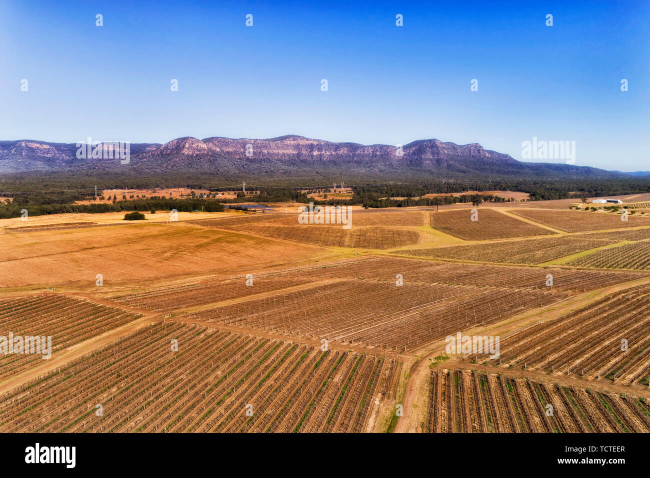 Winter brown vineyards in Hunter Valley wine making region of NSW