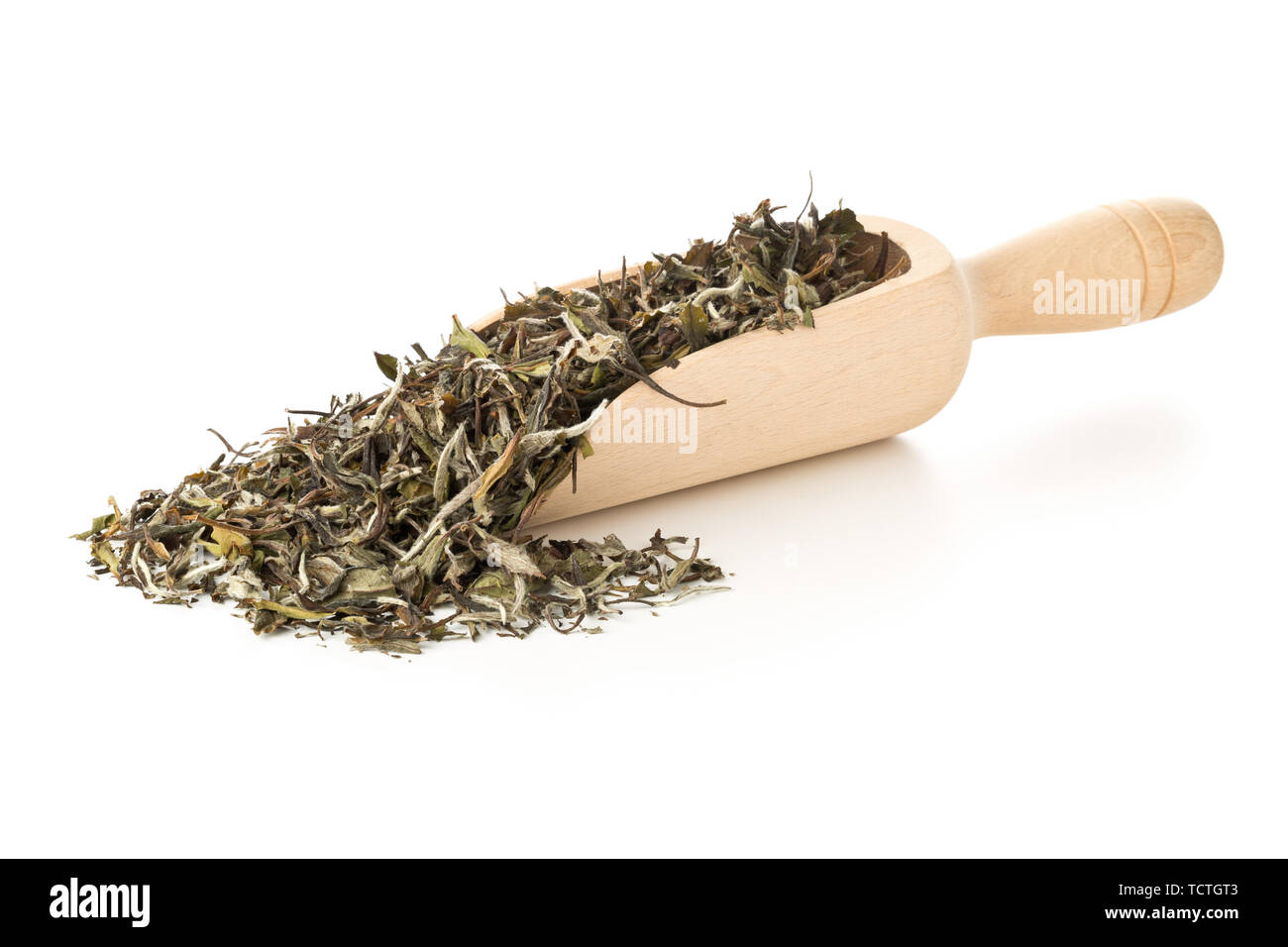Heap of dried, raw white tea leaves in wooden scoop over white background Stock Photo