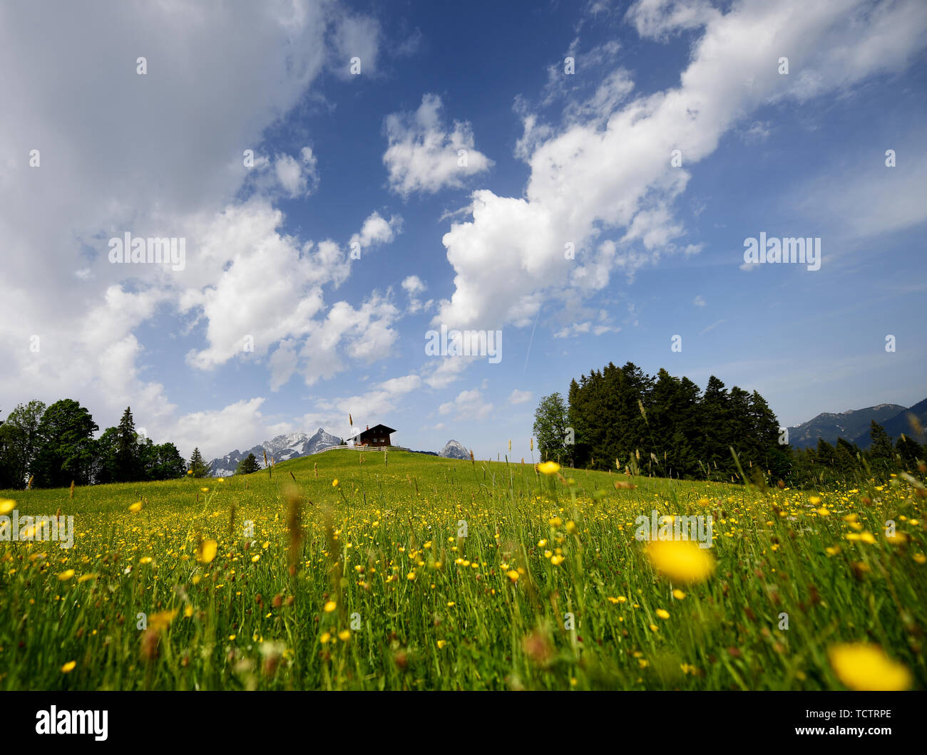 Garmisch Partenkirchen, Germany. 10th June, 2019. Clouds are moving over a mountain hut at Eckbauer. Credit: Angelika Warmuth/dpa/Alamy Live News Stock Photo