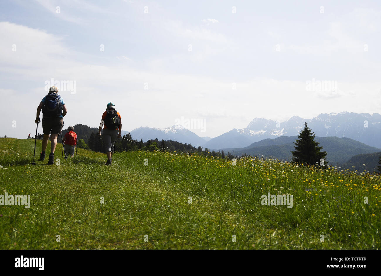 Garmisch Partenkirchen, Germany. 10th June, 2019. Hikers are on their way at the Eckbauer in the Wettersteingebirge. Credit: Angelika Warmuth/dpa/Alamy Live News Stock Photo