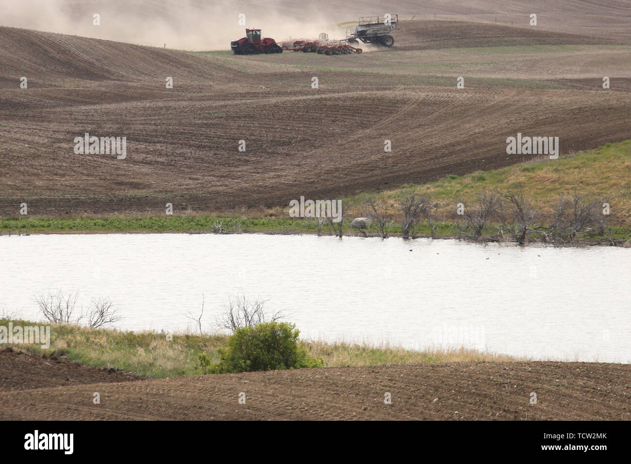 Seeding in Saskatchewan drought conditions Agriculture Canada Stock ...