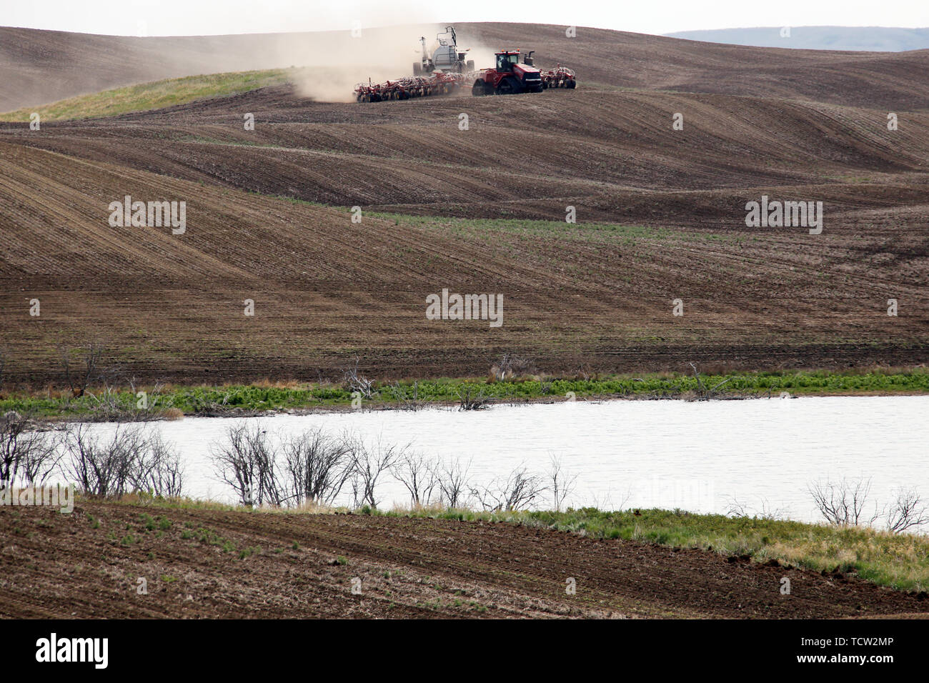 Seeding in Saskatchewan drought conditions Agriculture Canada Stock ...