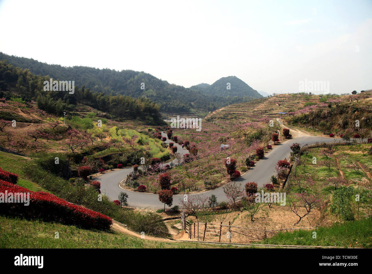 The place where peach blossoms bloom in Yangshan, Tonglu, Hangzhou Stock Photo