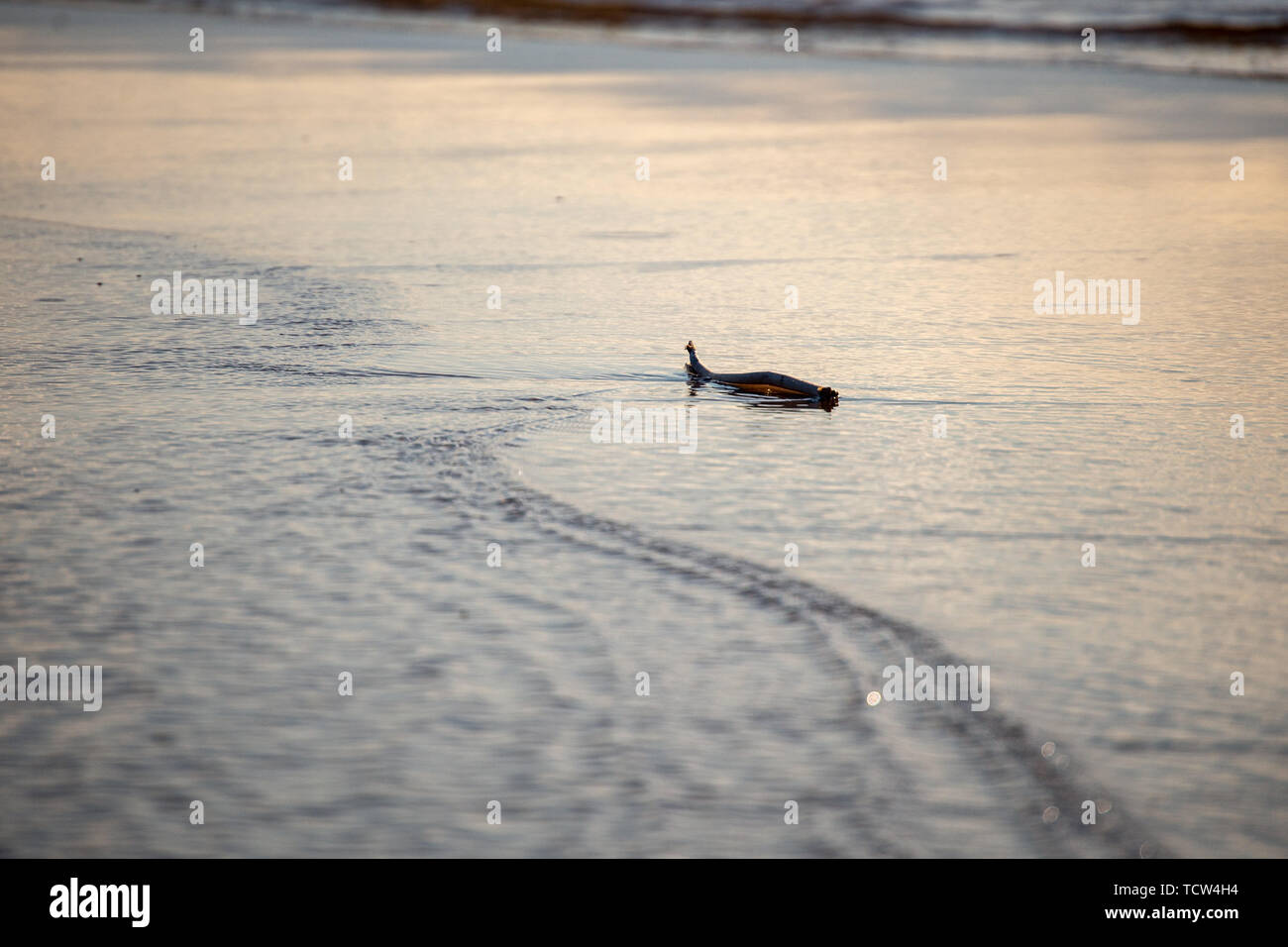 water texture with reflections and rocks on the bottom of stream ...
