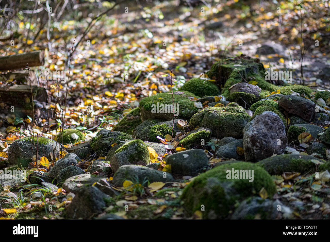 large rock in sand in countryside, isolated stone Stock Photo - Alamy