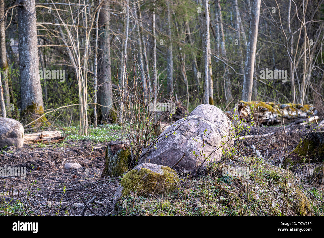 large rock in sand in countryside, isolated stone Stock Photo - Alamy