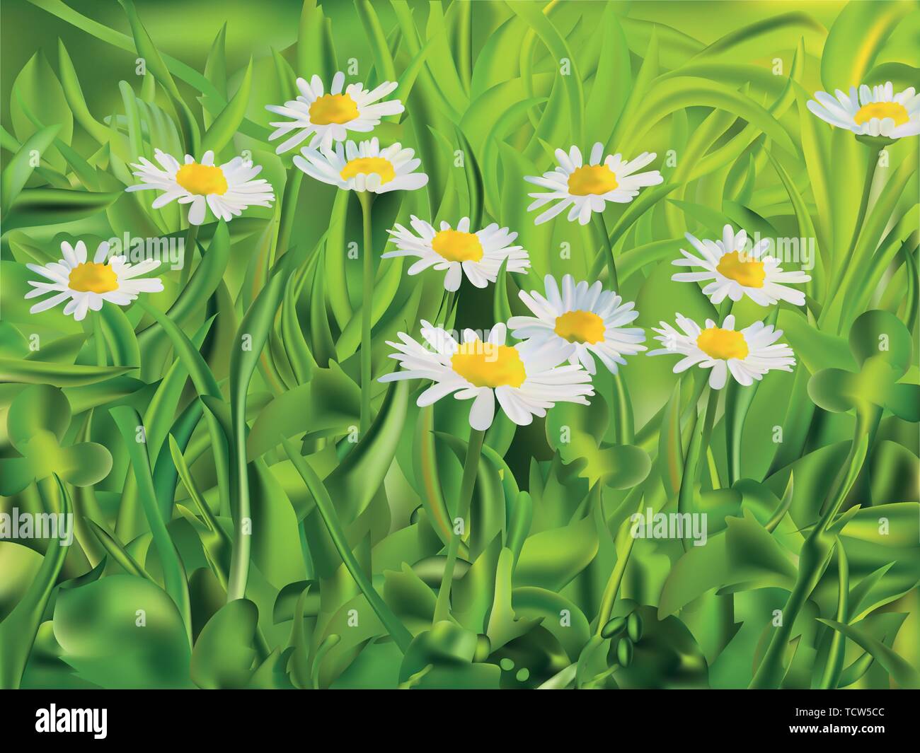 Spring green grass and chomomile. 3d vector realistic landscape ...