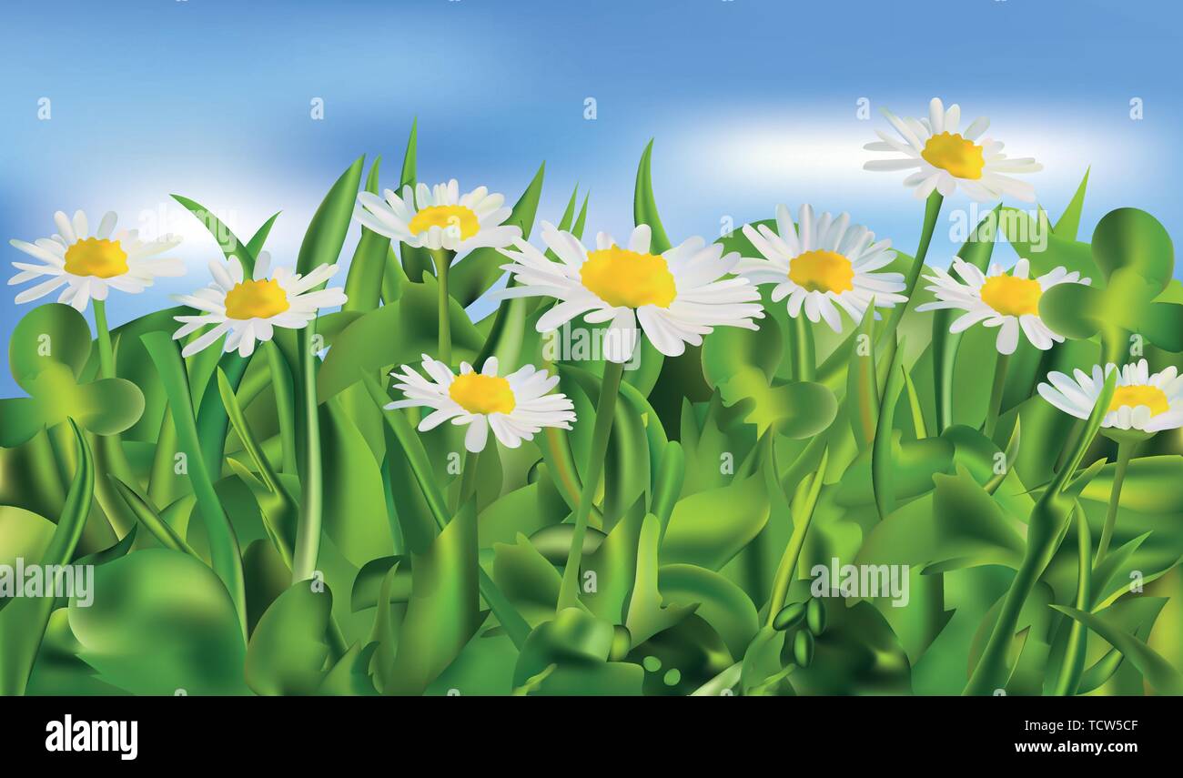 Nature. Spring green grass and chomomile. 3d vector realistic landscape ...