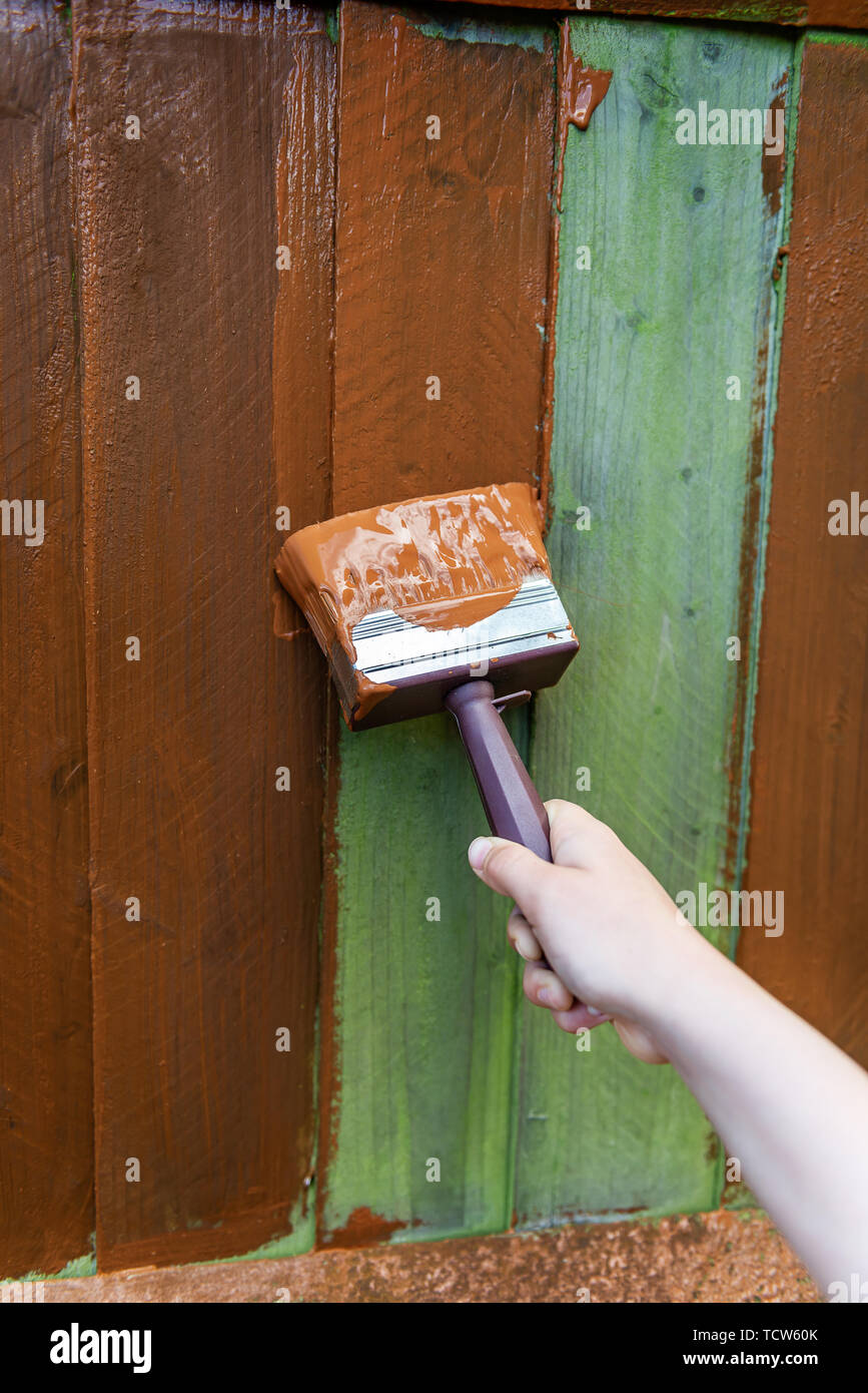 Painting old wooden fence with a brown paint Stock Photo Alamy