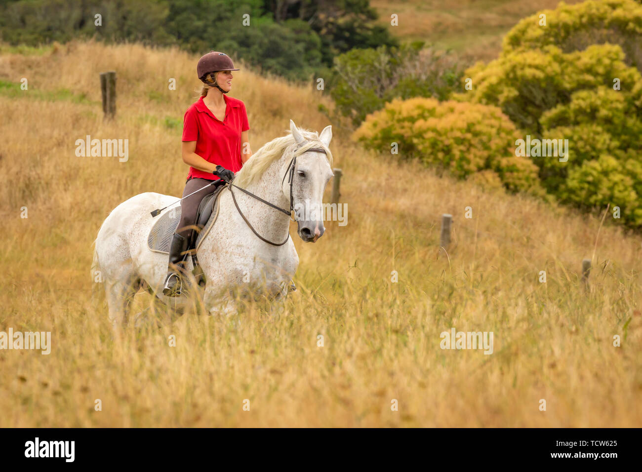 An attractive happy smiling young woman dressed in a red polo shirt riding her white horse through long dried golden colour grasses, copyspace to the  Stock Photo