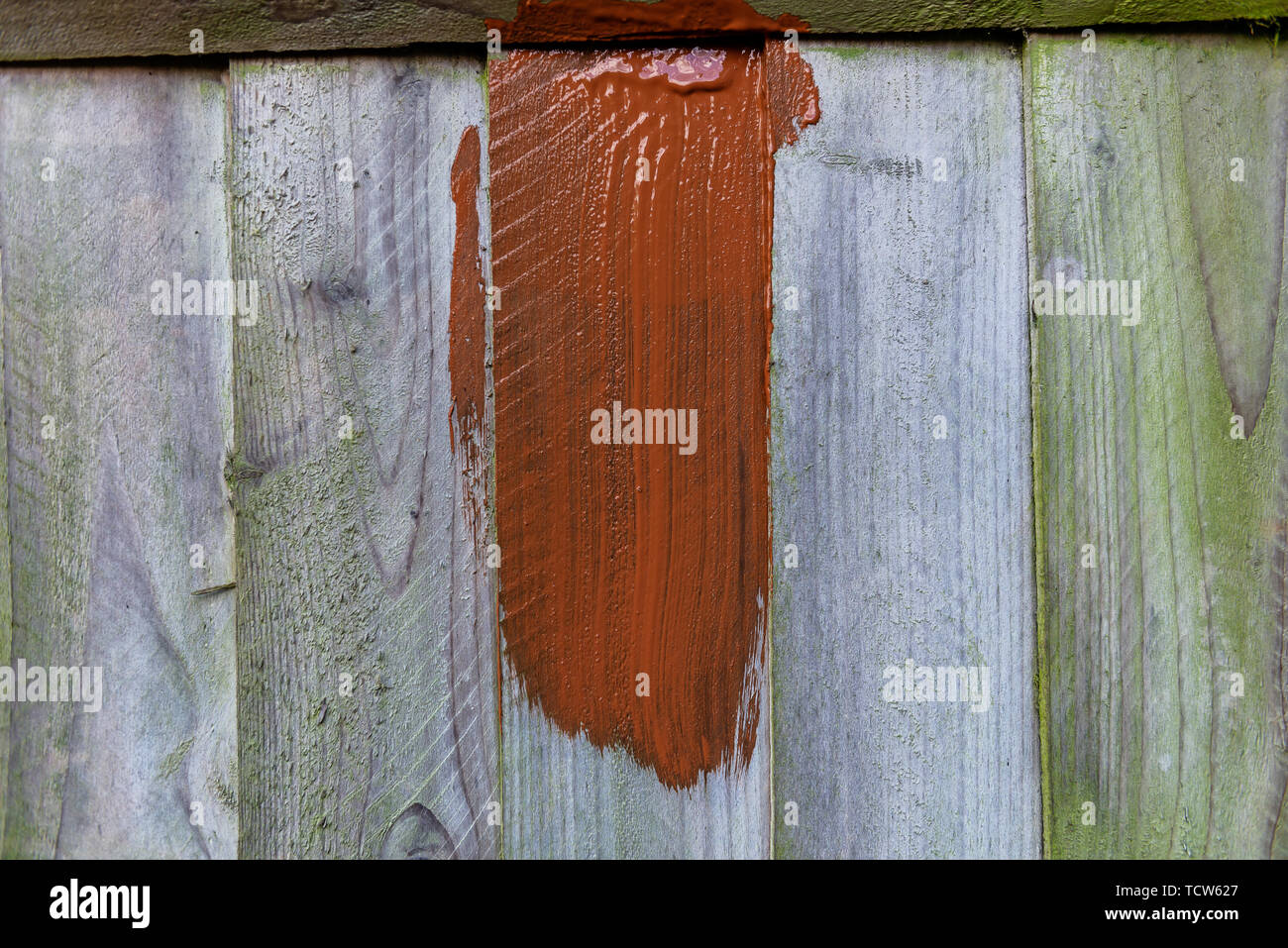 Painting old wooden fence with a brown paint Stock Photo Alamy