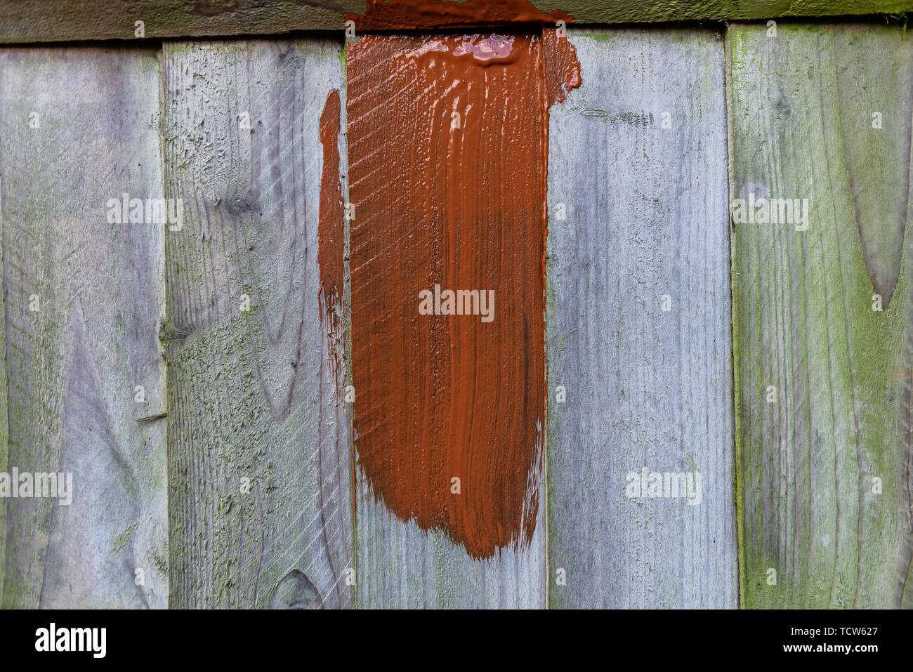 Painting old wooden fence with a brown paint Stock Photo