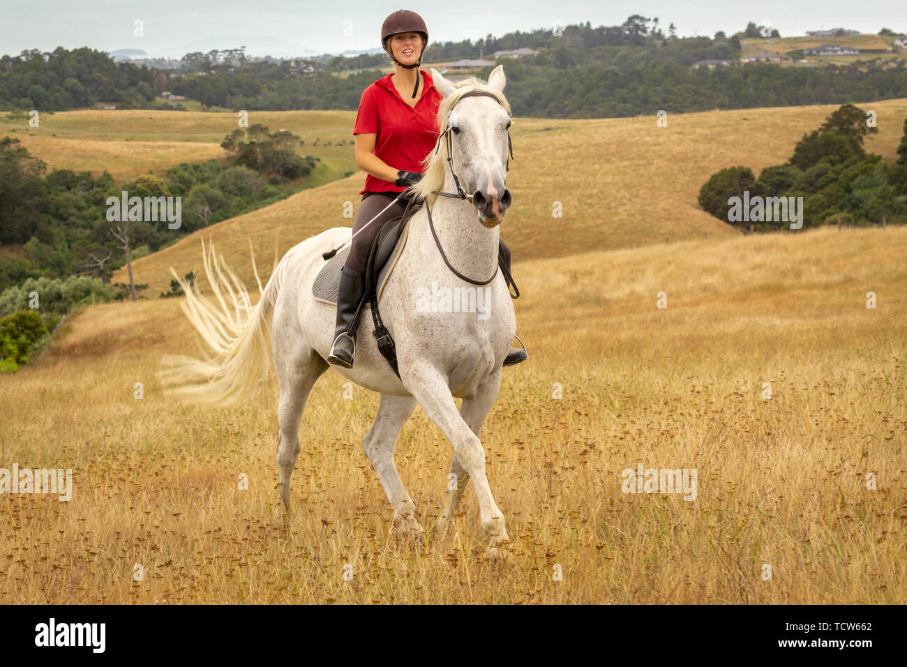 White polo shirt with orange cheap horse