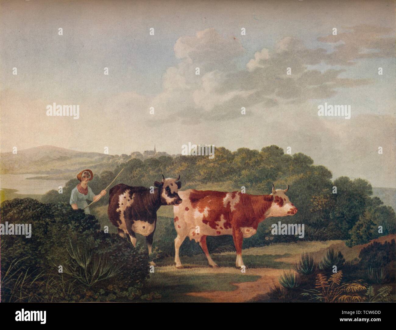 'English Landscape, with Shorthorned Cattle', late 18th-early 19th century, (1930). Creator: Charles Towne. Stock Photo