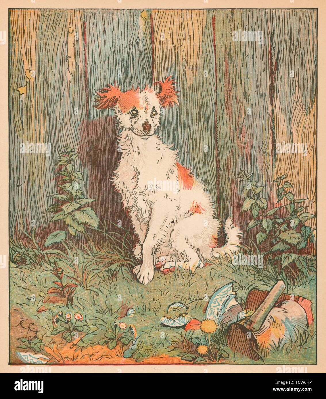 Mad dog weeds hires stock photography and images Alamy