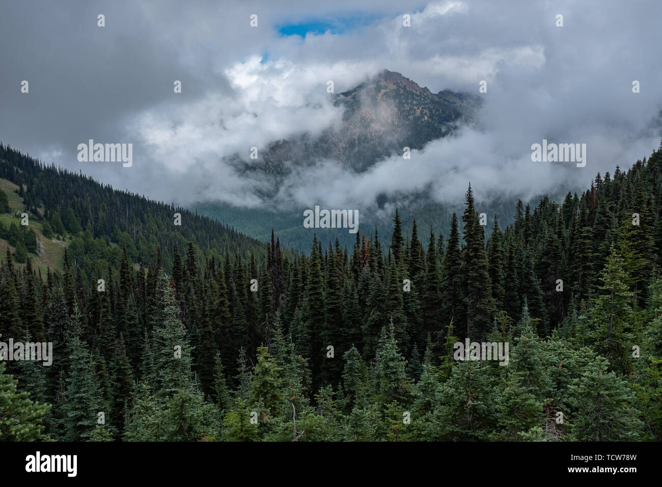 White mountain national forest hi-res stock photography and images - Alamy