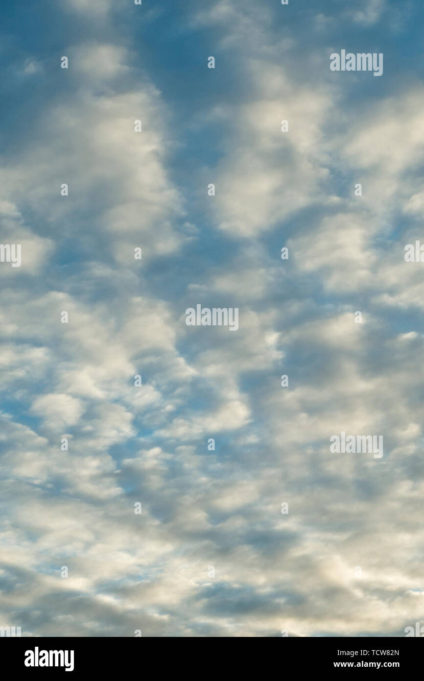 altocumulus clouds as background Stock Photo