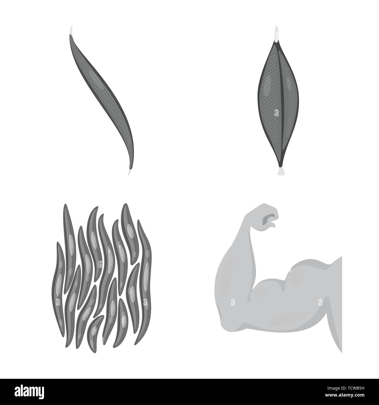 Vector illustration of human and body sign. Collection of human and ...