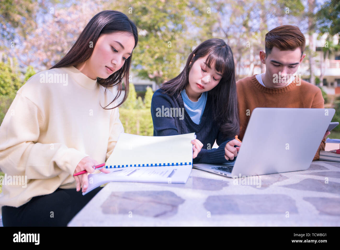 Group Of University Students asian sitting on the green grass Working ...