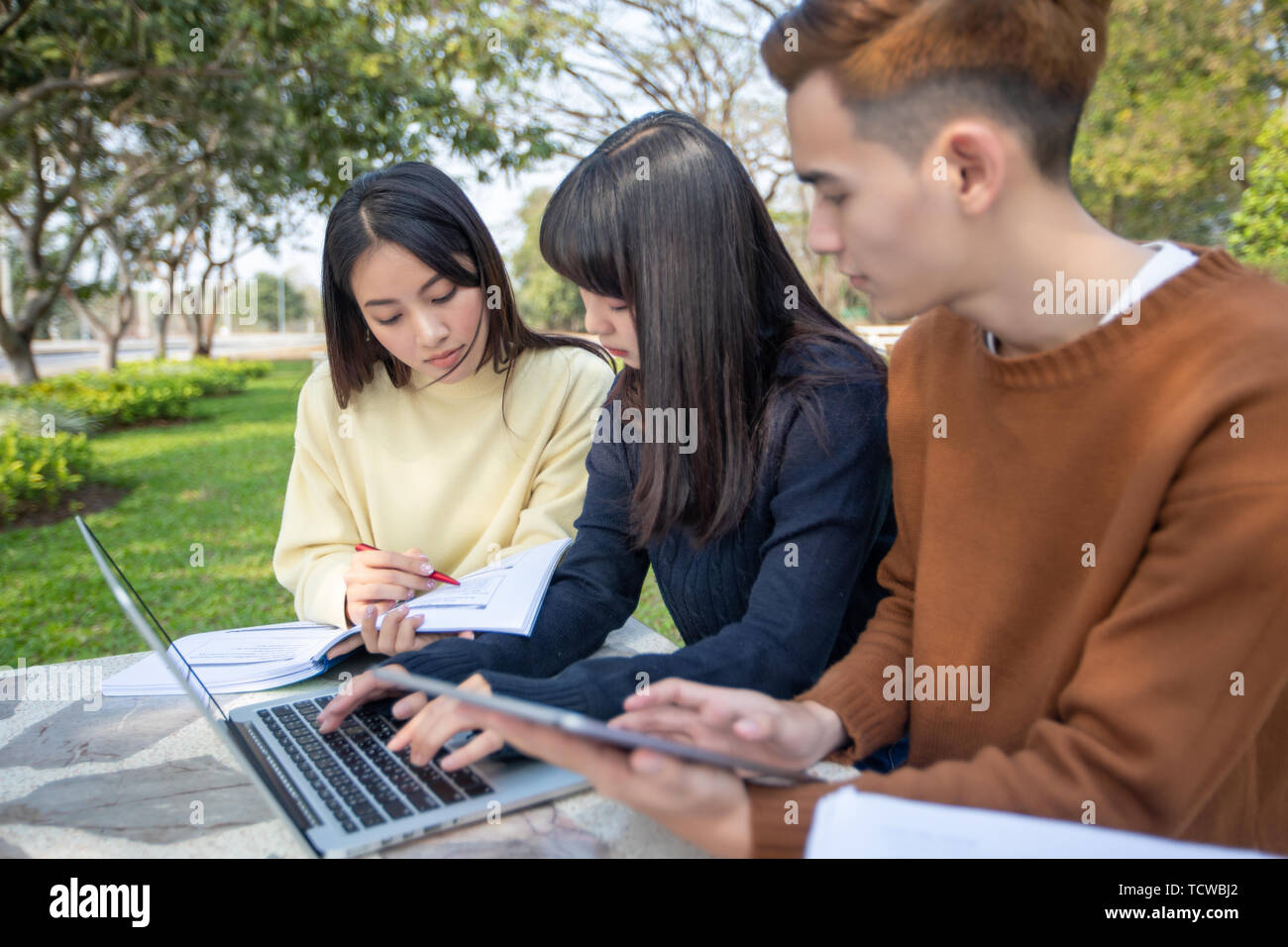 Group Of University Students asian sitting on the green grass Working ...