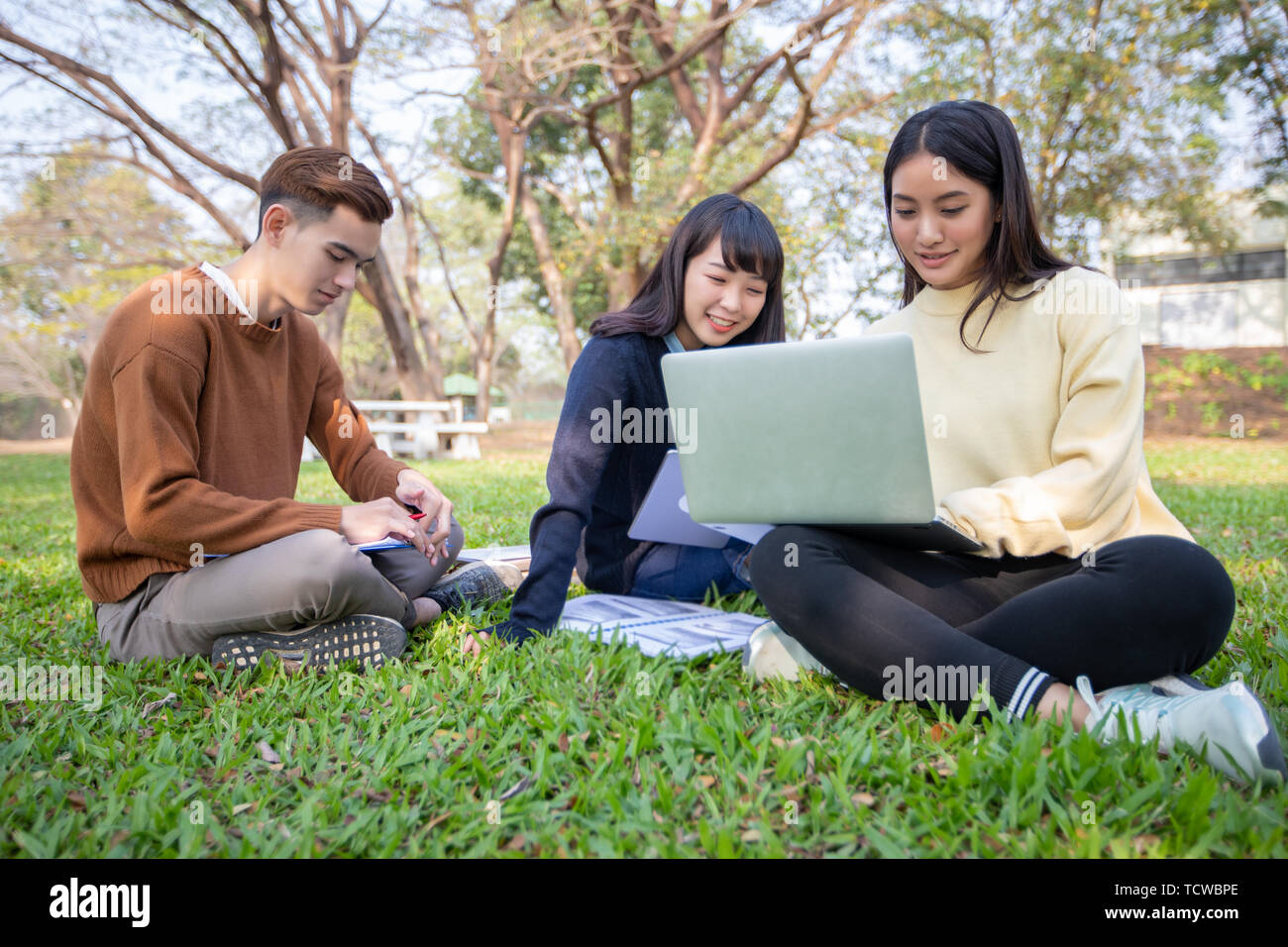 Group Of University Students asian sitting on the green grass Working ...