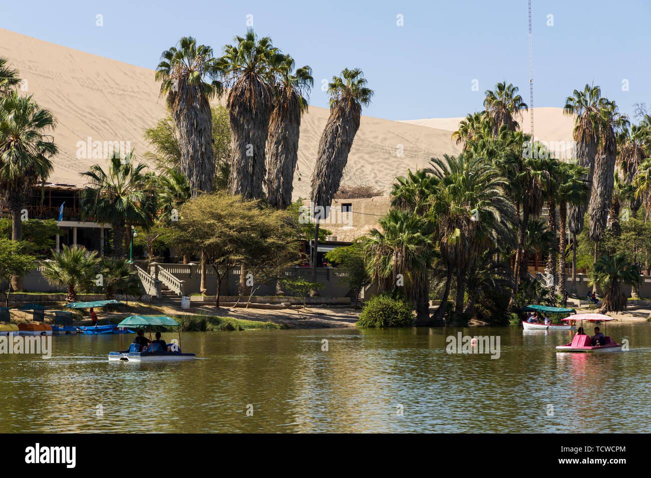 The oasis at Huacachina, surrounded by palm trees, Peru, South America Stock Photo