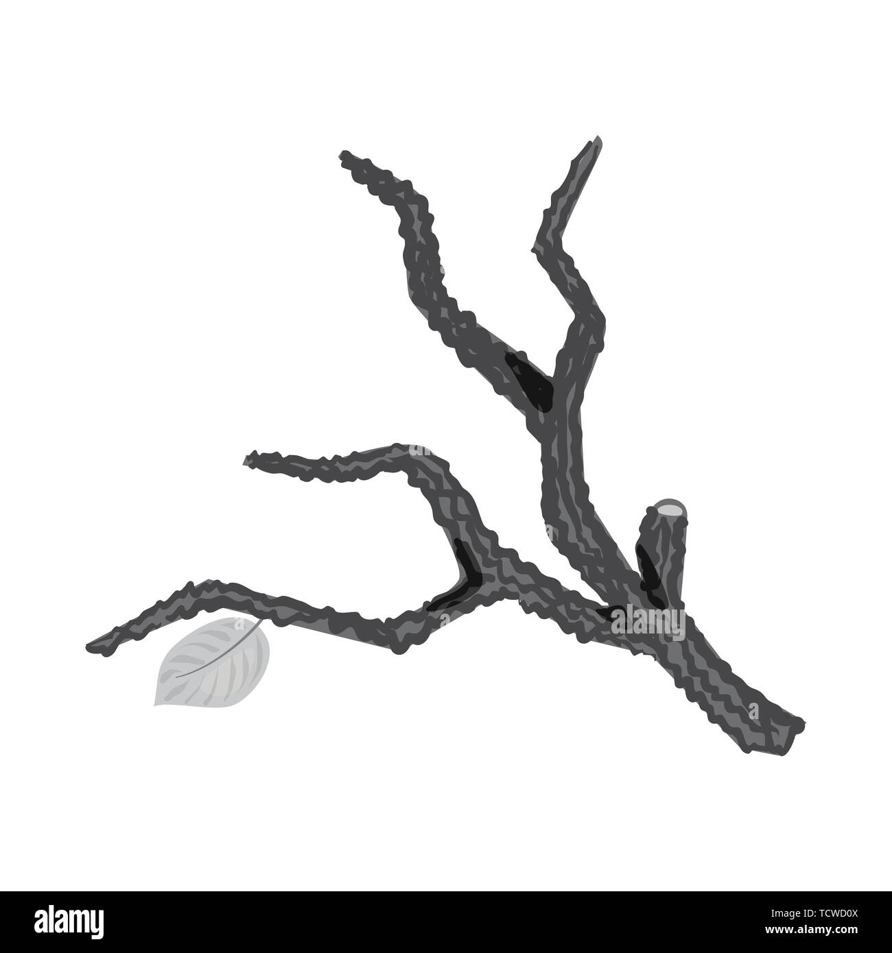 firewood,brown|,oak,ring,bark,signboard,wood,forest,wooden,branch,piece ...
