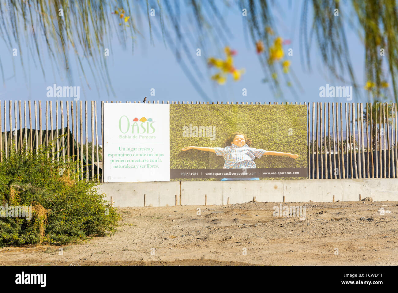 Building plots of land for sale for residential development in Paracas, Peru, South America, Stock Photo