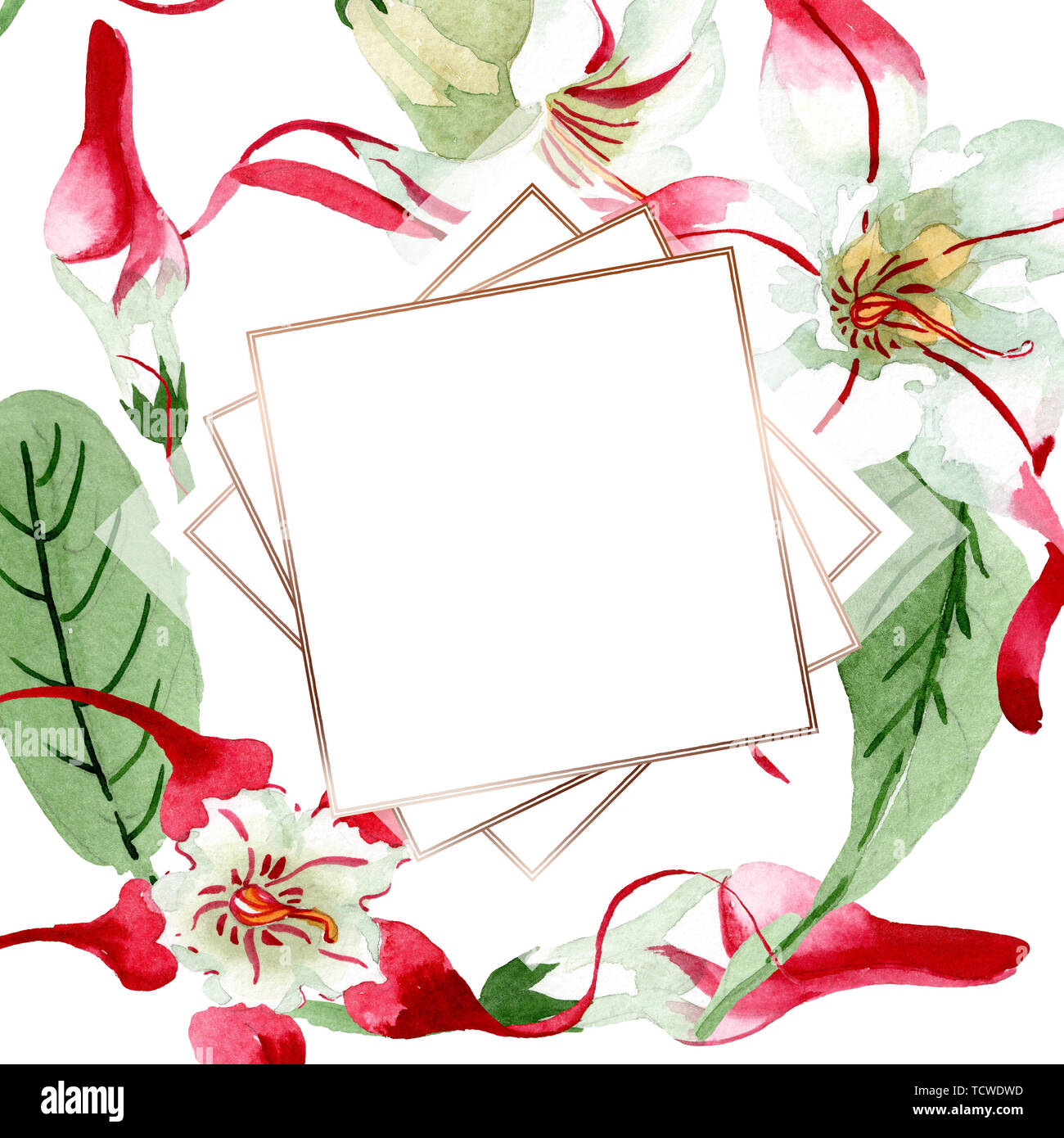 Red white strophantus floral botanical flowers. Wild spring leaf