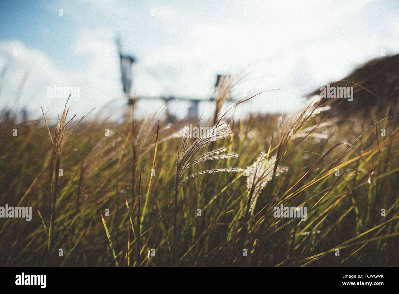 Dawn backlight hi-res stock photography and images - Alamy