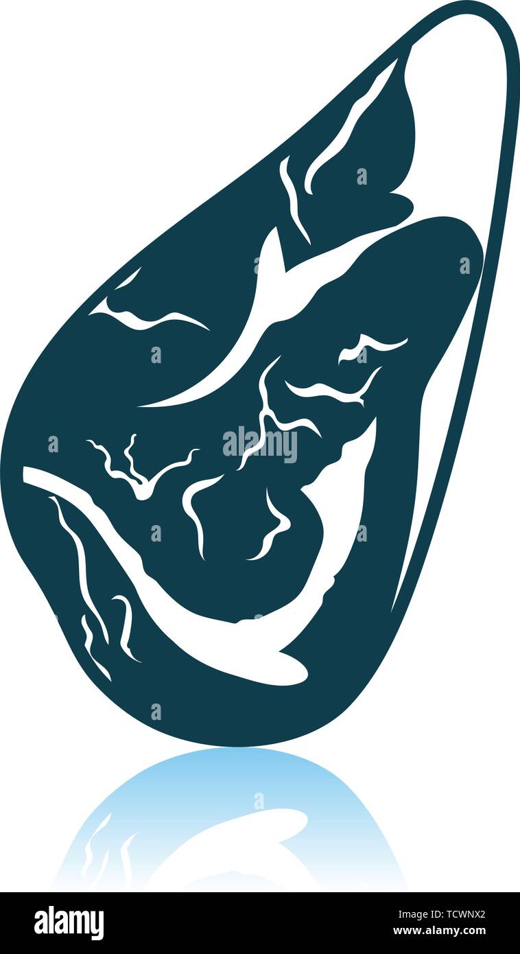 Meat Steak Icon. Shadow Reflection Design. Vector Illustration Stock ...