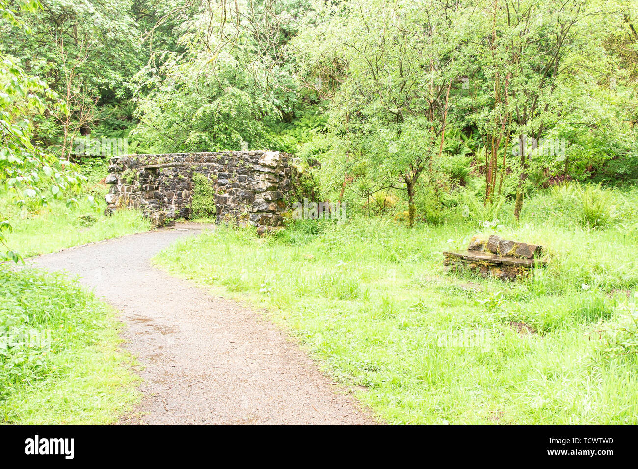 Ancient ruins of the old Fog House or Grotto situated in the middle of Parkhill Woods in Lochwinnoch Scotland. Once used as type of summerhouse and wa Stock Photo