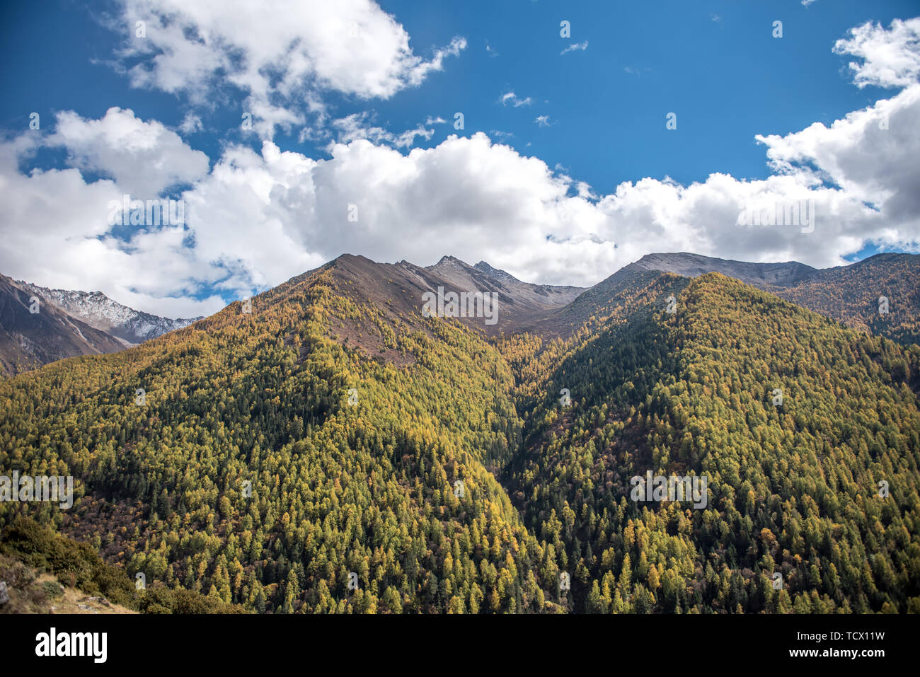 Beautiful scenery of the Four Girls Mountain in Sichuan Stock Photo - Alamy