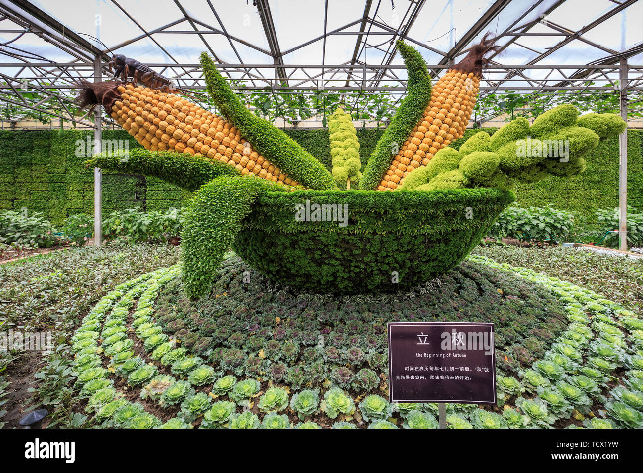 Real Greenhouses High Resolution Stock Photography And Images Alamy