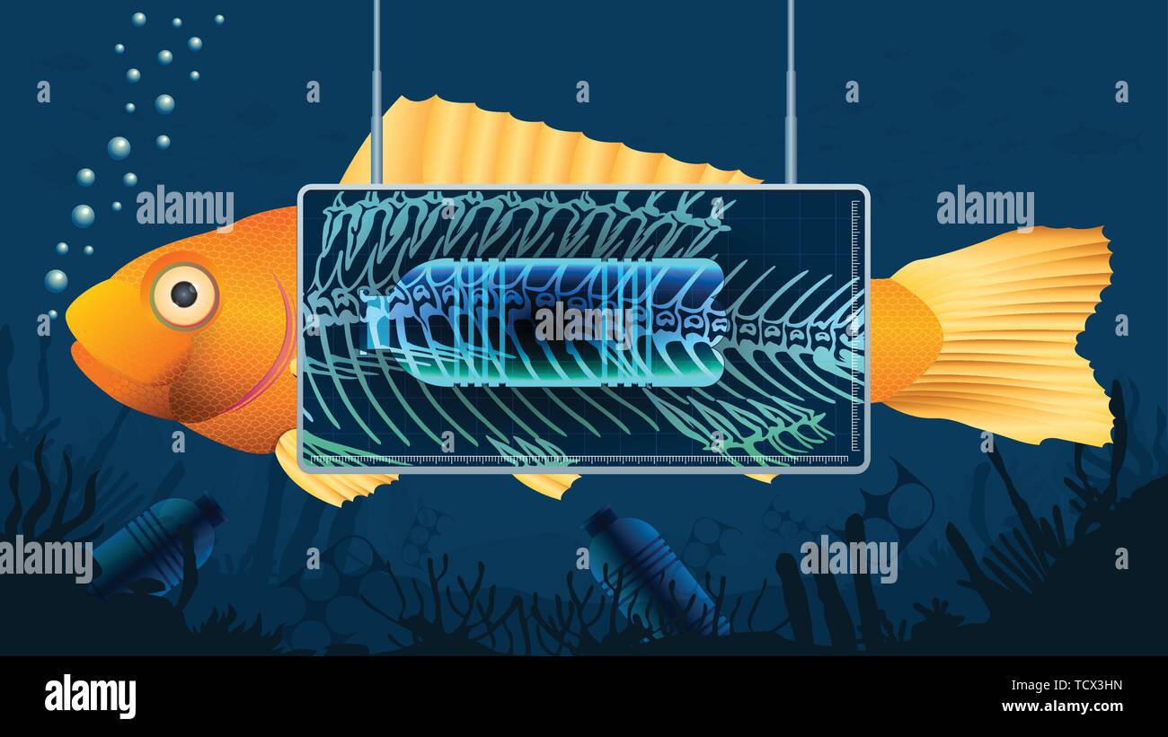 X ray fish Stock Vector Images Alamy
