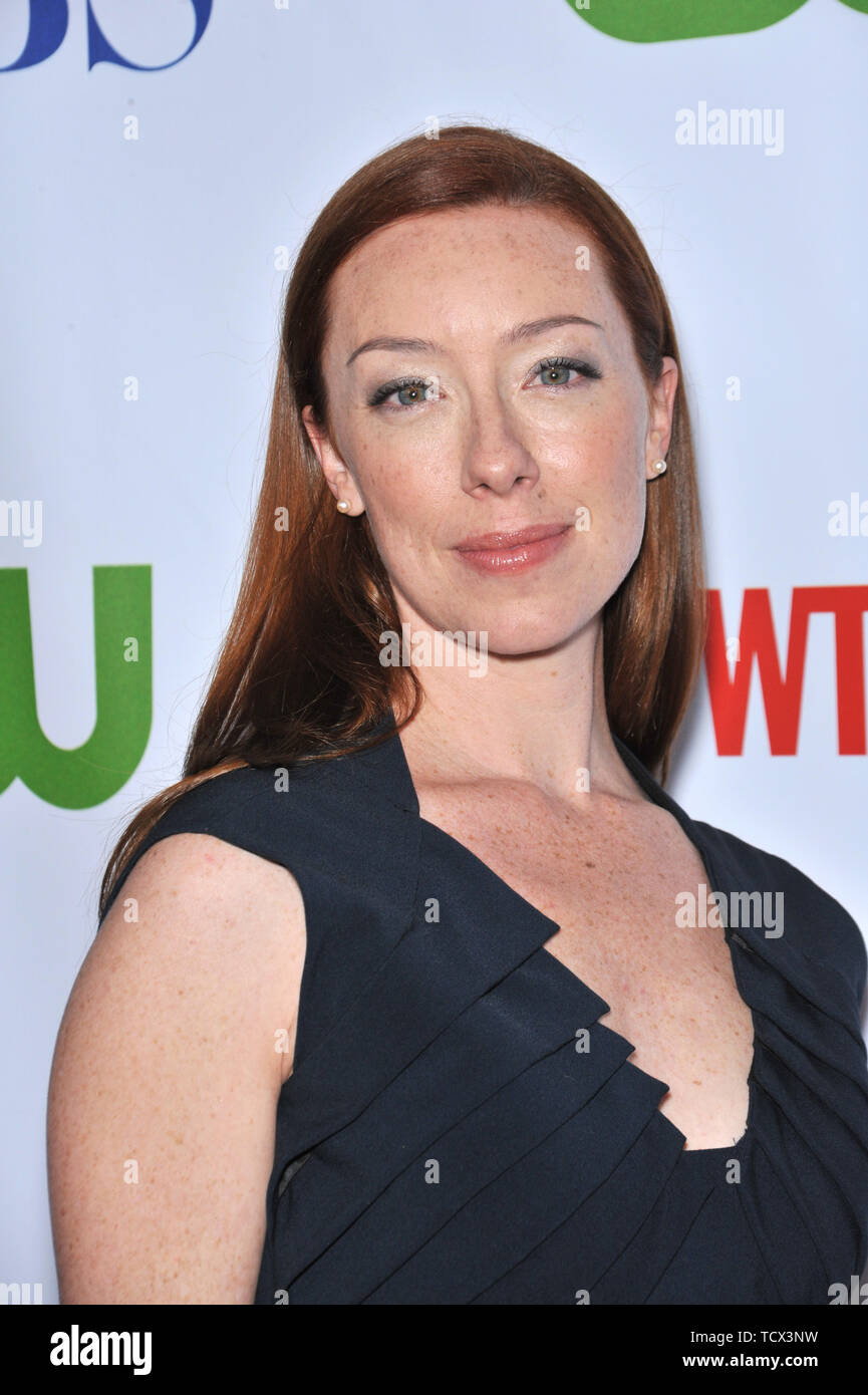 LOS ANGELES, CA. July 19, 2008 Molly Parker star of "Swingtown" at