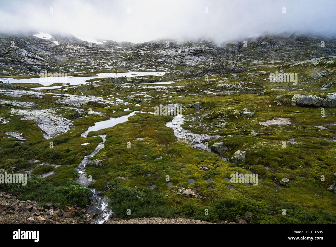 Scenic mountain landscape in a remote area of Hardangervidda National Park, located in central southern Norway. Photo taken from Oslo-Bergen train Stock Photo
