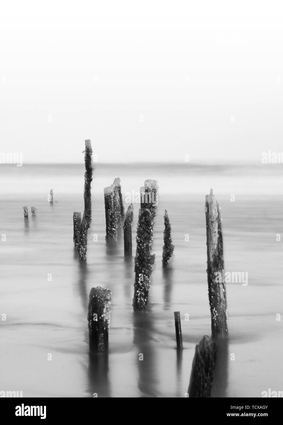 The black and white of the sea Stock Photo - Alamy