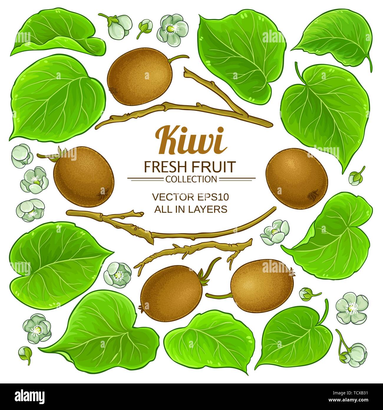 kiwi elements vector set on white background Stock Vector