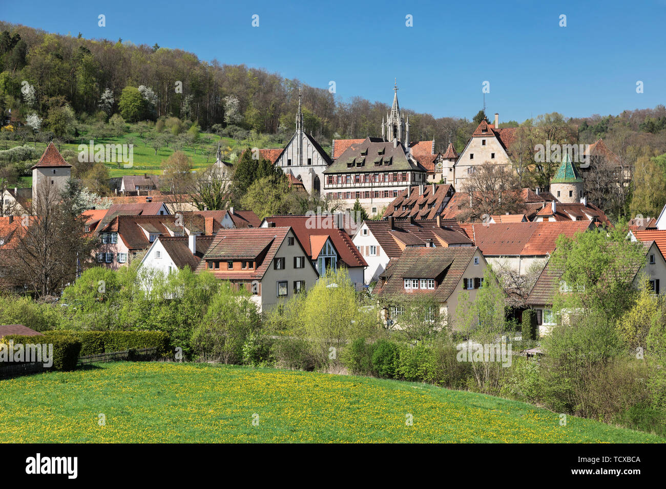 Bebenhausen Monastery near Tuebingen, Schoenbuch Nature Park, Baden-Wurttemberg, Germany, Europe Stock Photo