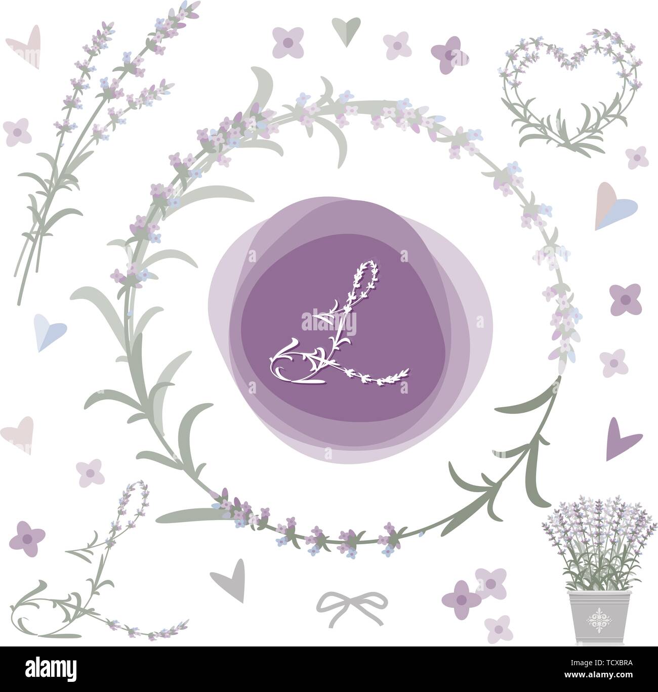 Lavender plant vector vectors hi-res stock photography and images - Alamy