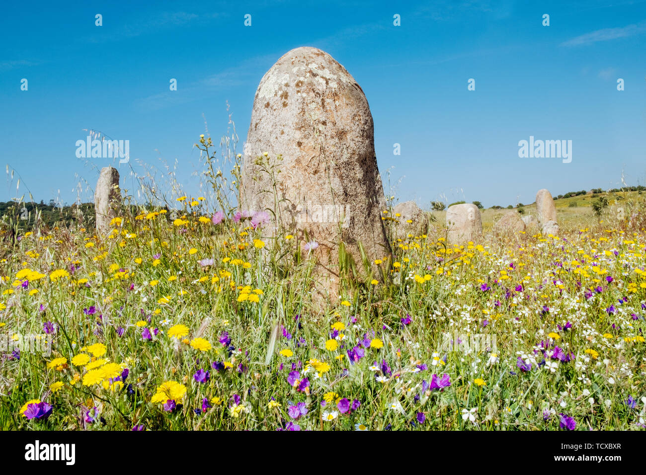 The standing stones at Xerez (Cromeleque do Xerez) (Xerez cromlech), Monsaraz, Alentejo, Portugal, Europe Stock Photo
