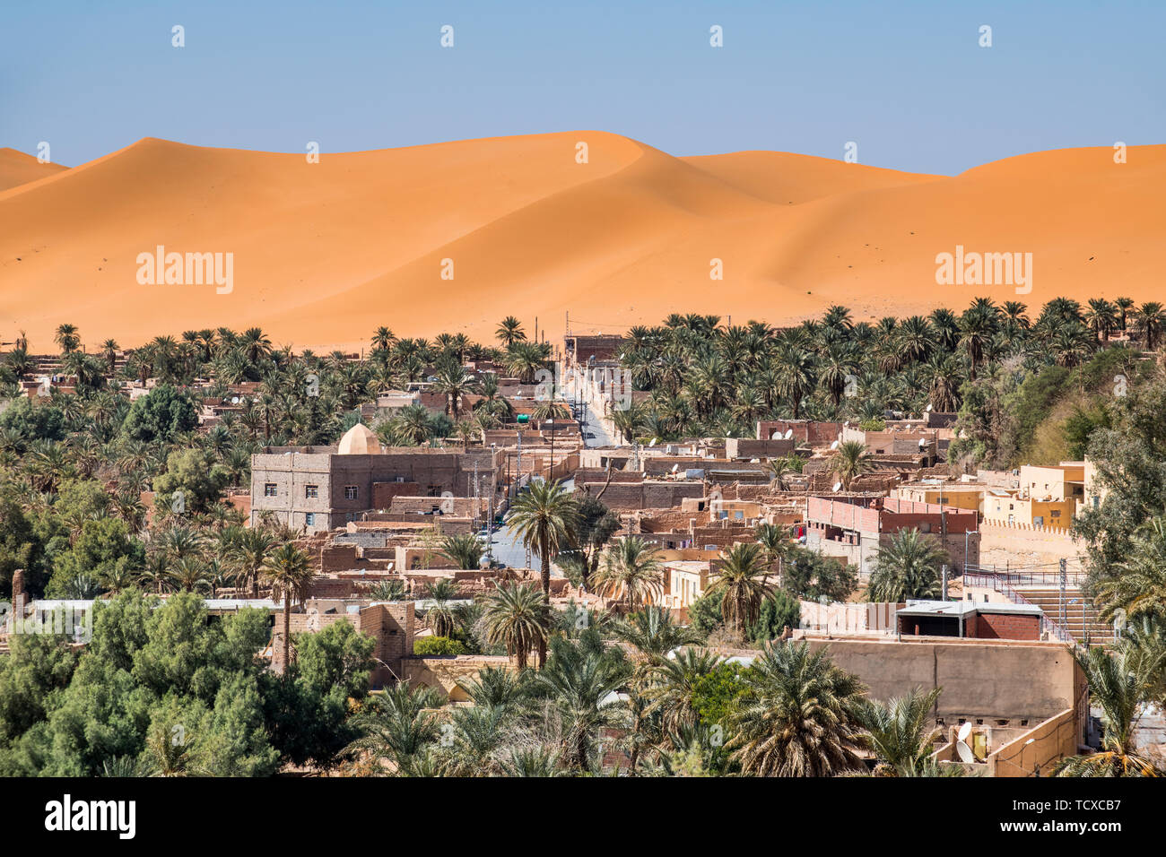 View over the palm oasis of Beni Abbes, Sahara, Algeria, North Africa, Africa Stock Photo