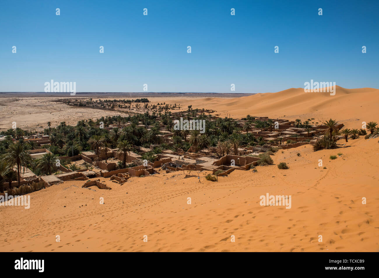 View over the palm oasis of Beni Abbes, Sahara, Algeria, North Africa ...