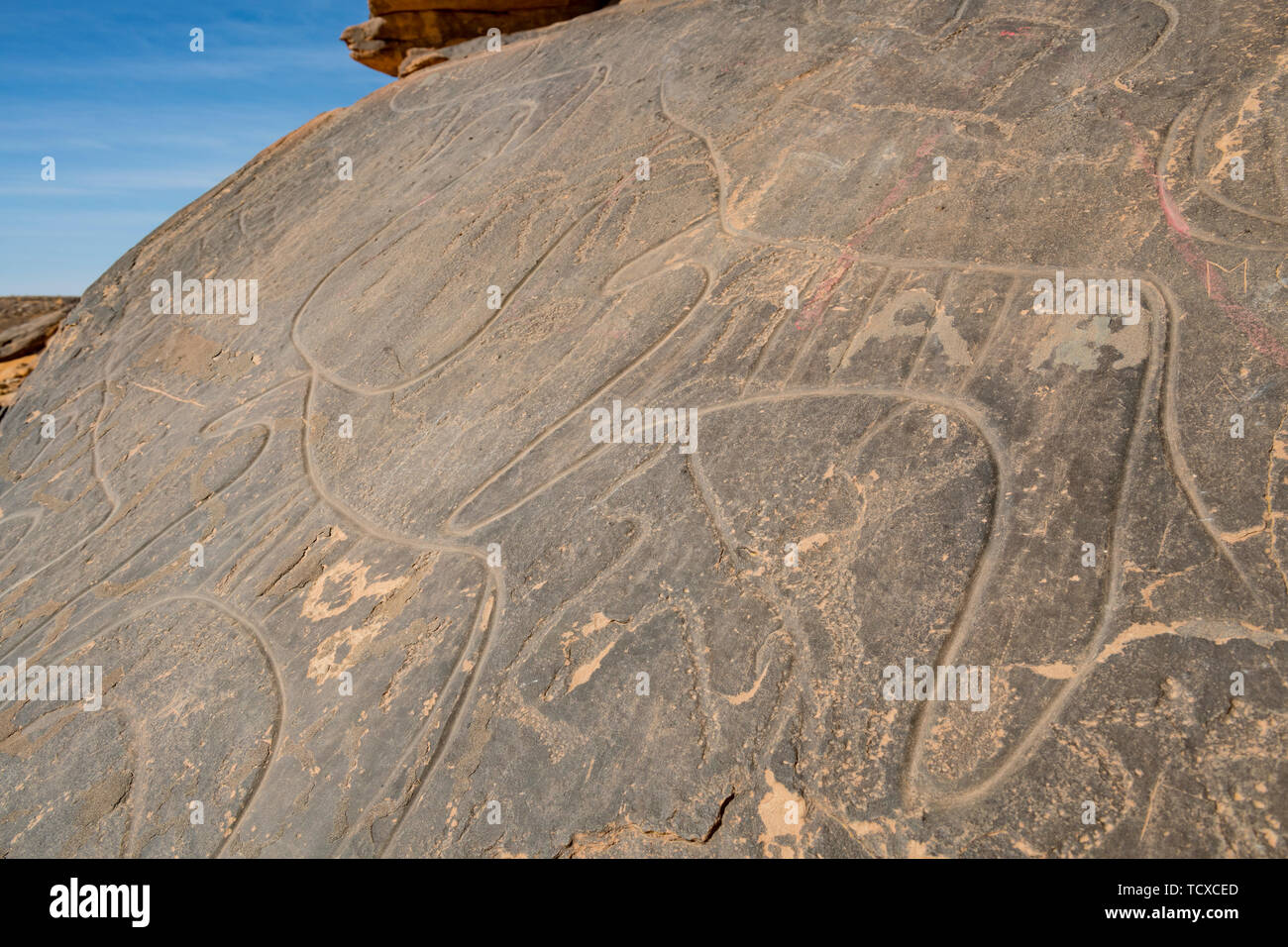 Prehistoric rock carvings near the Oasis of Taghit, western Algeria, North Africa, Africa Stock Photo