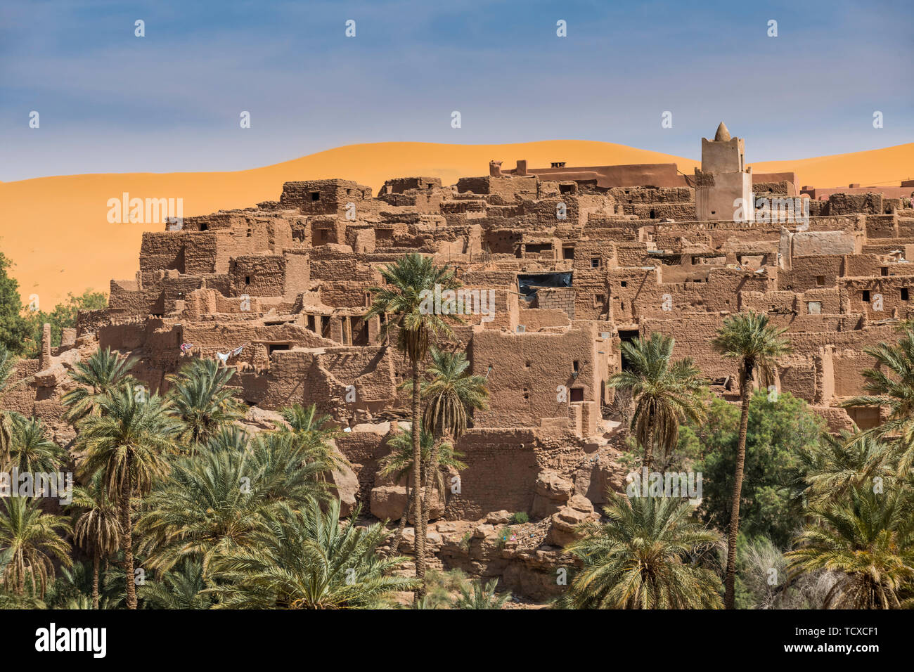 View over the Oasis of Taghit, western Algeria, North Africa, Africa Stock Photo