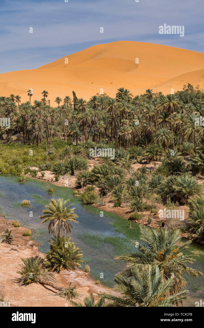 View over the Oasis of Taghit, western Algeria, North Africa, Africa Stock Photo