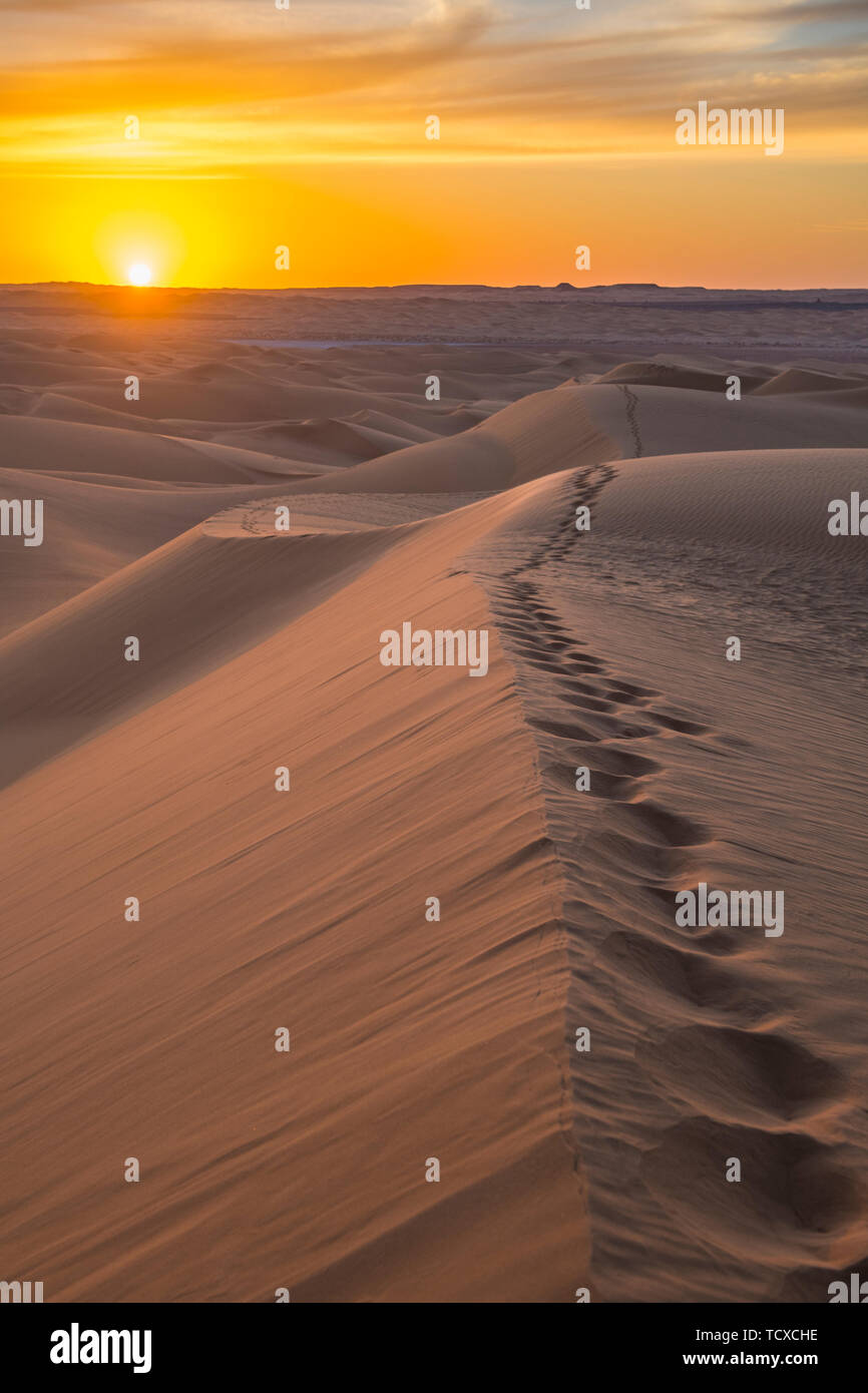 Sunset in the giant sand dunes of the Sahara Desert, Timimoun, western 